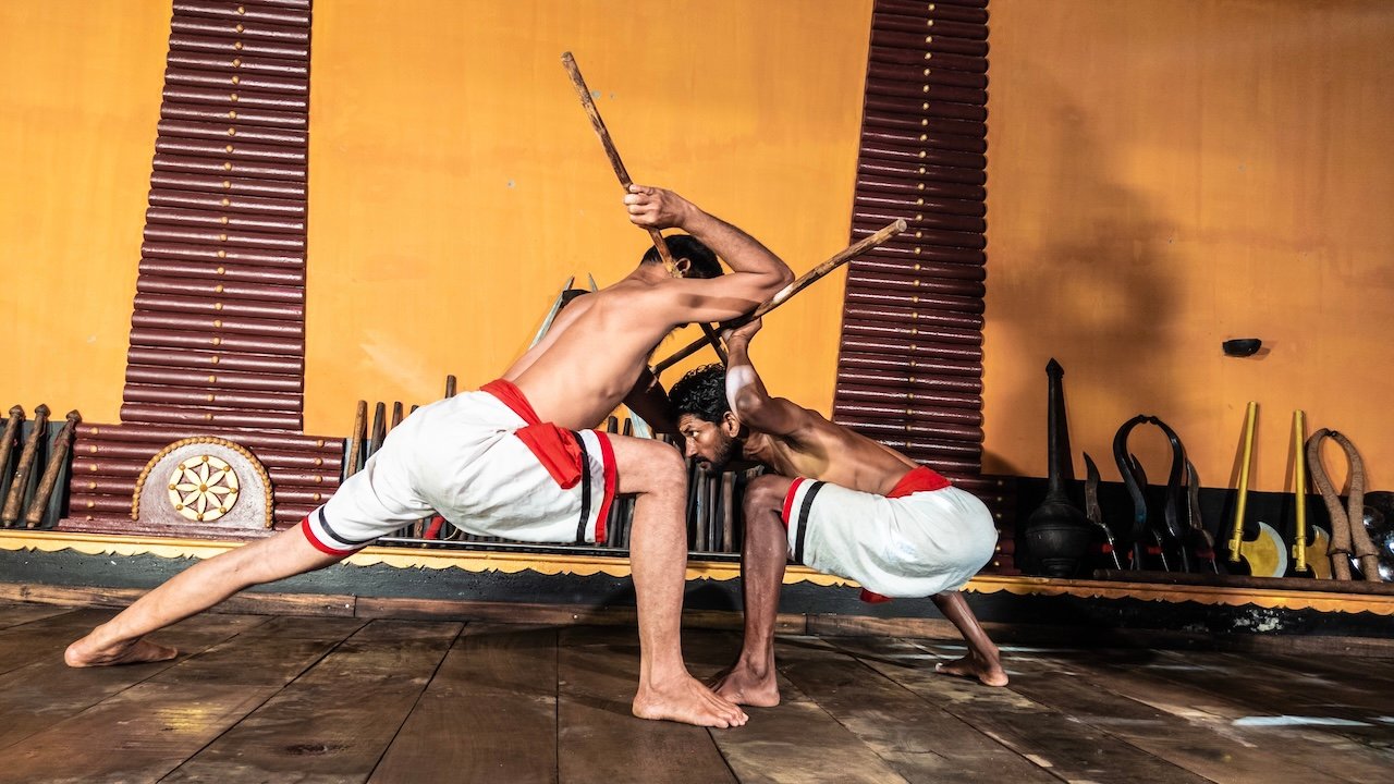 Kalaripayattu Basic Course